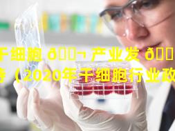 干细胞 🐬 产业发 🌼 改支持（2020年干细胞行业政策）